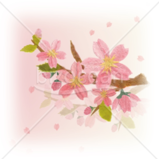 [4月]切り絵のような温かみのある桜のイラスト