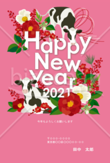 【2021年】鮮やかなピンクが印象的なウシと椿の洋風年賀状