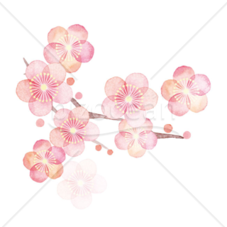 「イラスト」優しい色合いの桃色の花々